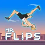 Mr Flip