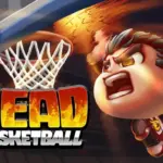 Head Basketball