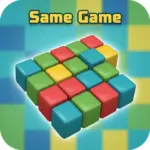 Same Game
